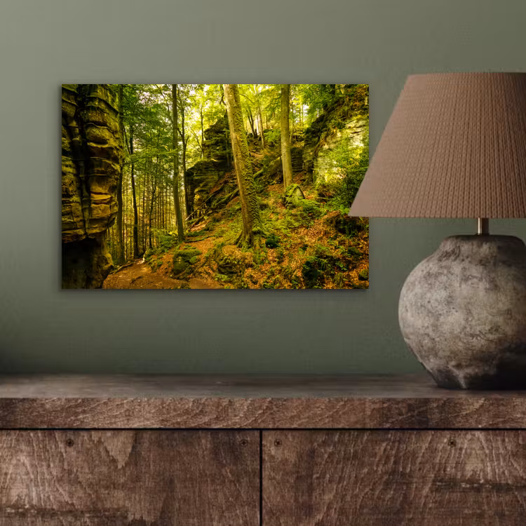 Bomen - Steen - Bos - Natuur - Planten aluminium wit klein -sfeer2