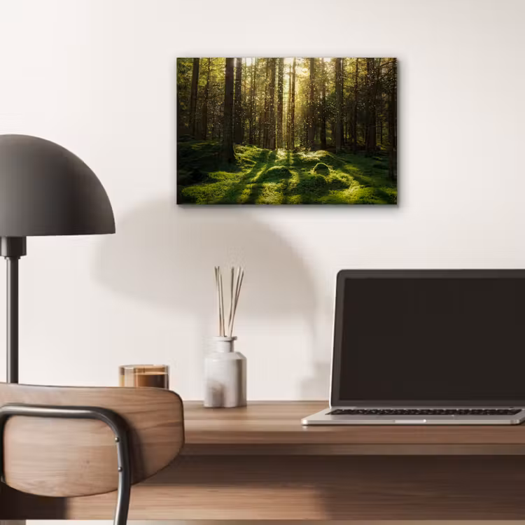 Bomen - Bos - Mos - Planten - Zon - Natuur aluminium wit klein -sfeer5