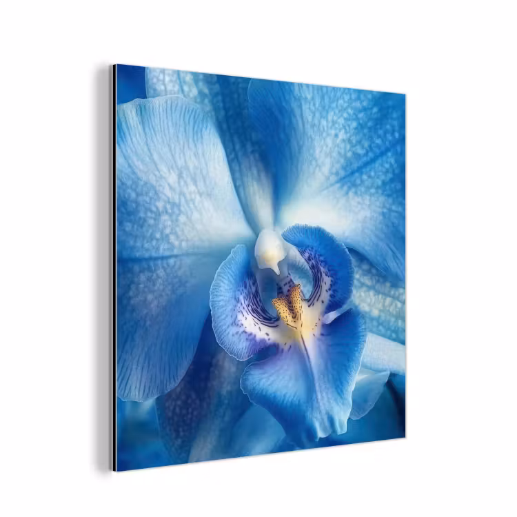 Blauw - Orchidee - Elegeant aluminium wit klein -3d