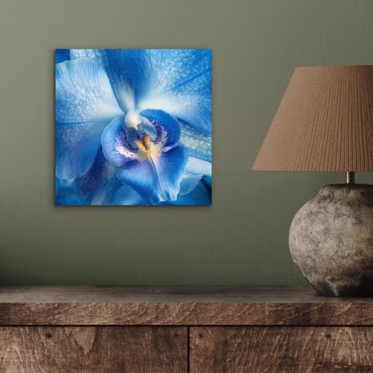 Blauw - Orchidee - Elegeant aluminium wit klein -sfeer2