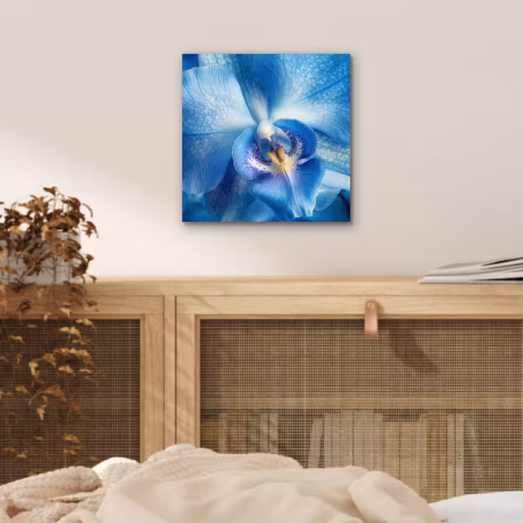 Blauw - Orchidee - Elegeant aluminium wit klein -sfeer3