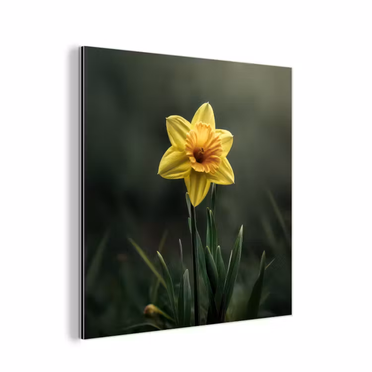 Bloem - Narcis - Gras - Geel aluminium wit klein -3d