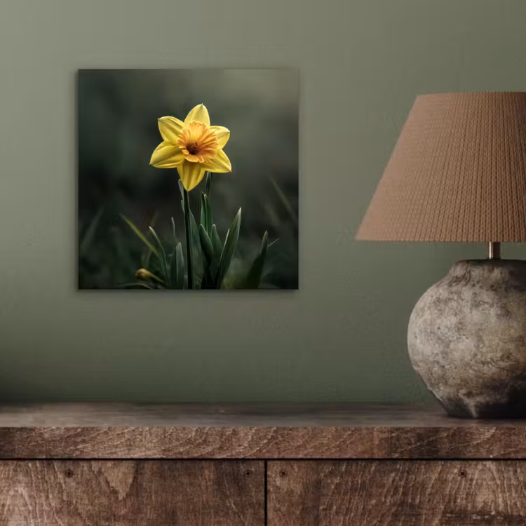 Bloem - Narcis - Gras - Geel aluminium wit klein -sfeer2