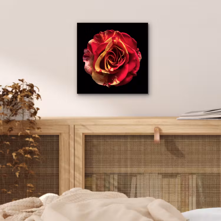 Bloem - Roos - Rood - Zwart aluminium wit klein -sfeer3