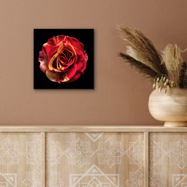 Bloem - Roos - Rood - Zwart aluminium wit klein -sfeer4