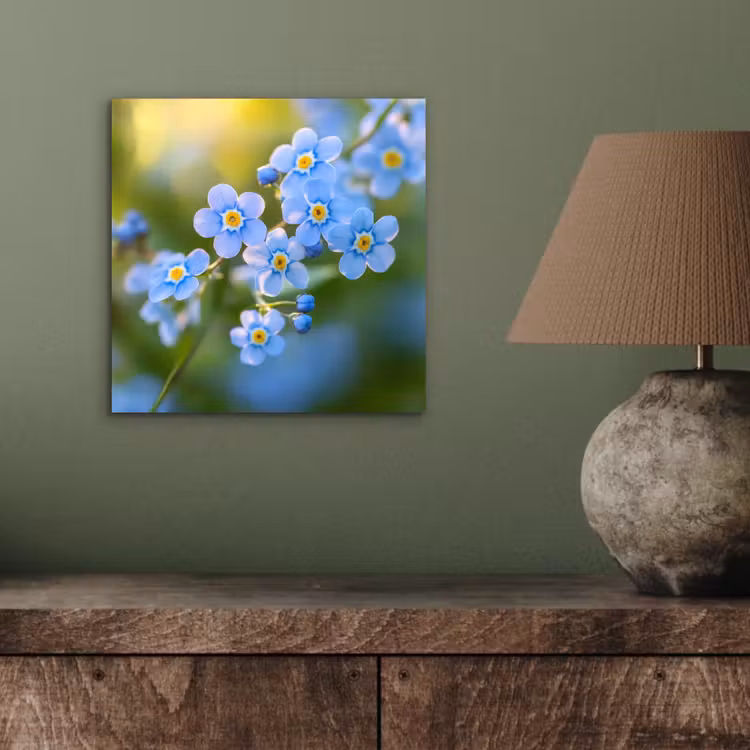 Bloemetjes - Blauw - Vergeet mij nietjes aluminium wit klein -sfeer2