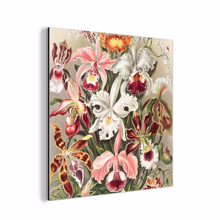 Bloemen - Ernst haeckel - Tuinposter - Vintage - Schuttingposter aluminium wit klein -3d