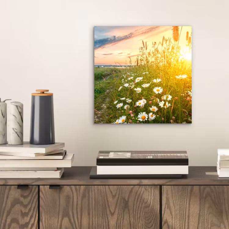 Bloemen - Madelief - Natuur - Zon - Horizon aluminium wit klein -sfeer1