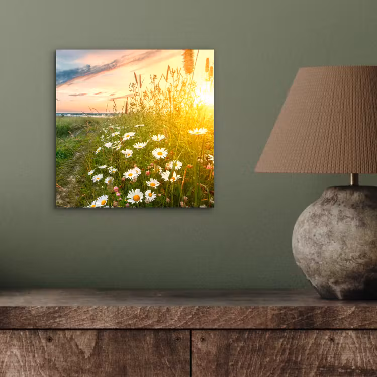 Bloemen - Madelief - Natuur - Zon - Horizon aluminium wit klein -sfeer2