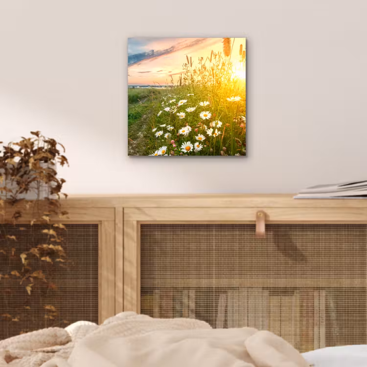 Bloemen - Madelief - Natuur - Zon - Horizon aluminium wit klein -sfeer3