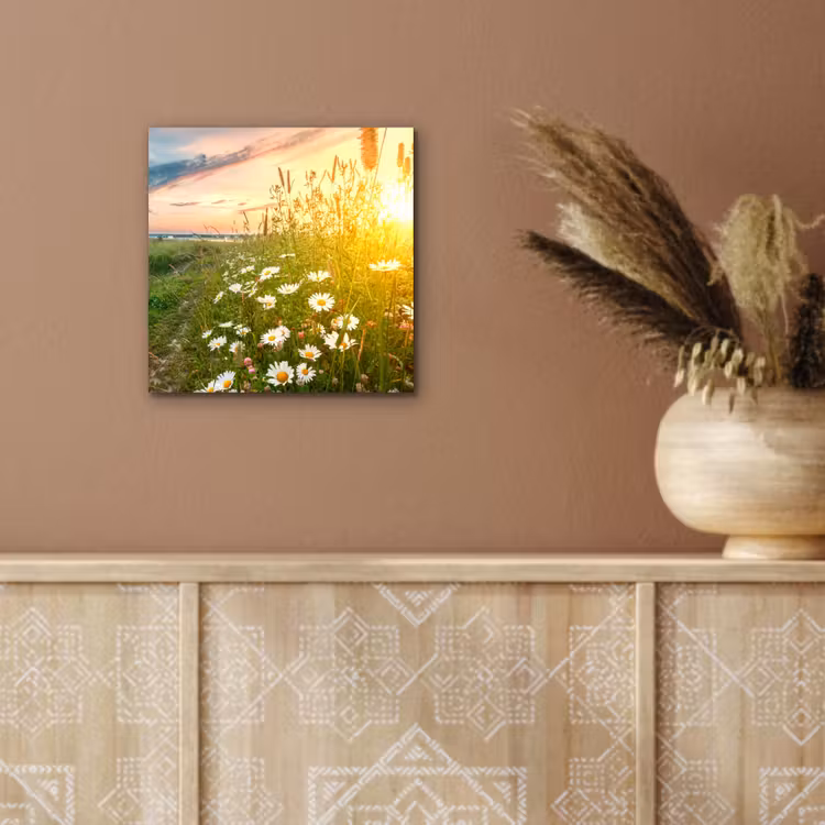 Bloemen - Madelief - Natuur - Zon - Horizon aluminium wit klein -sfeer4