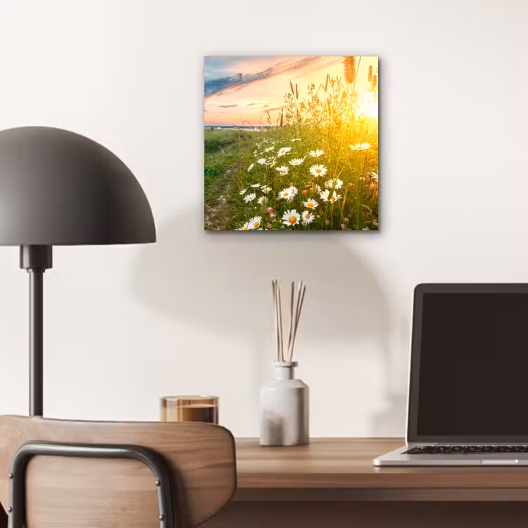 Bloemen - Madelief - Natuur - Zon - Horizon aluminium wit klein -sfeer5