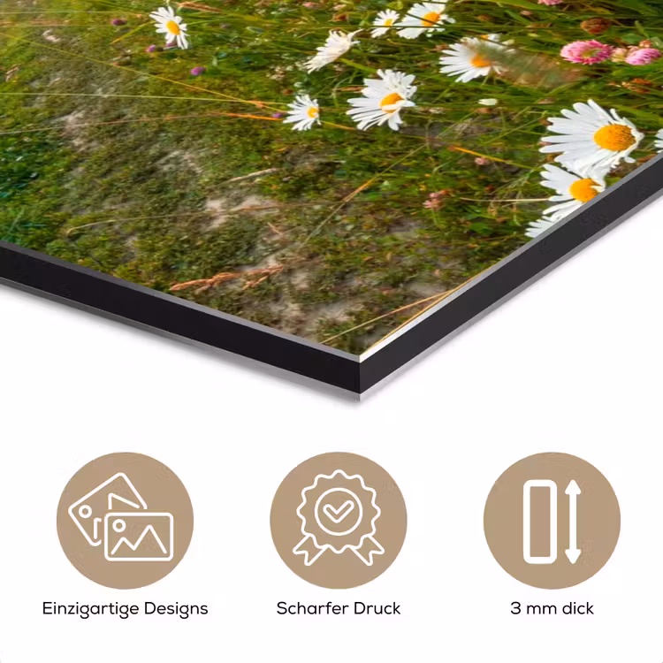 Bloemen - Madelief - Natuur - Zon - Horizon aluminium wit klein -closeup_DE