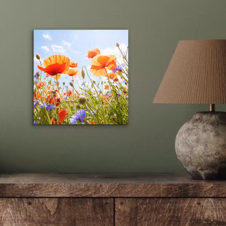 Bloemen - Klaproos - Lente - Natuur - Rood - Blauw aluminium wit klein -sfeer2