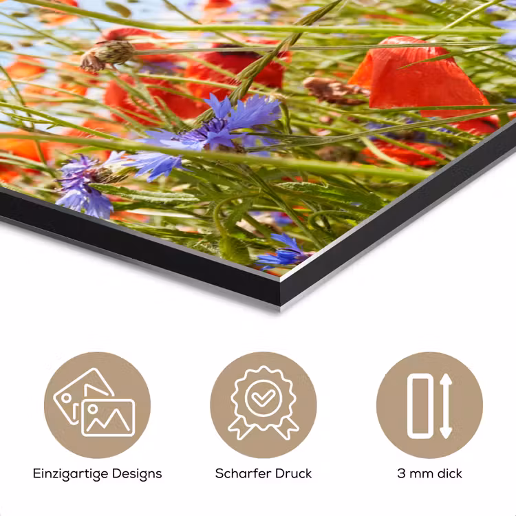 Bloemen - Klaproos - Lente - Natuur - Rood - Blauw aluminium wit klein -closeup_DE