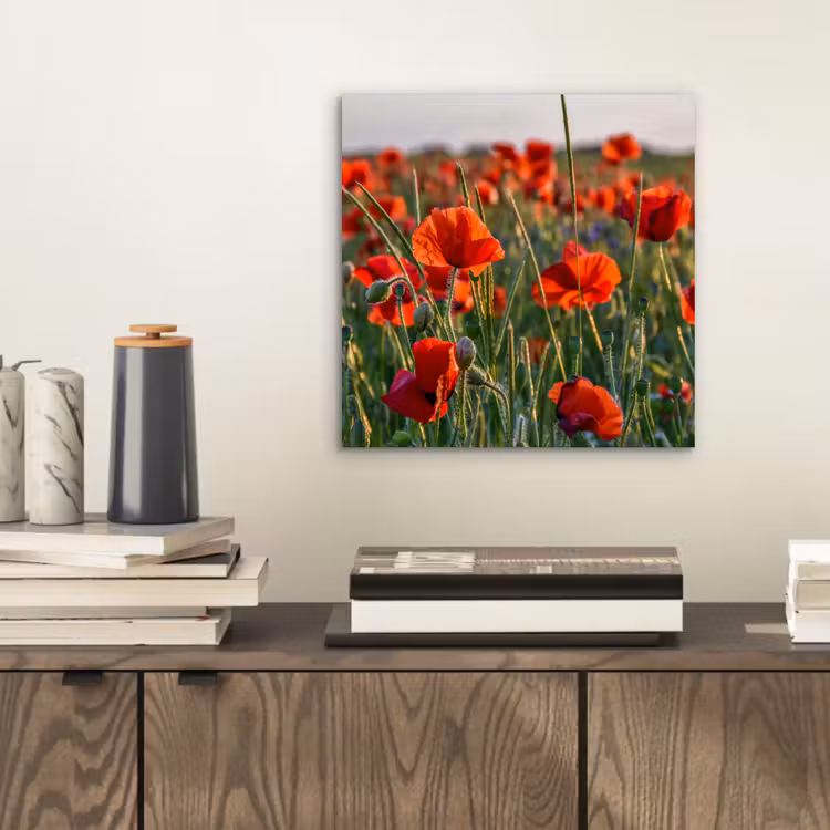 Bloemen - Klaprozen - Natuur - Rood aluminium wit klein -sfeer1