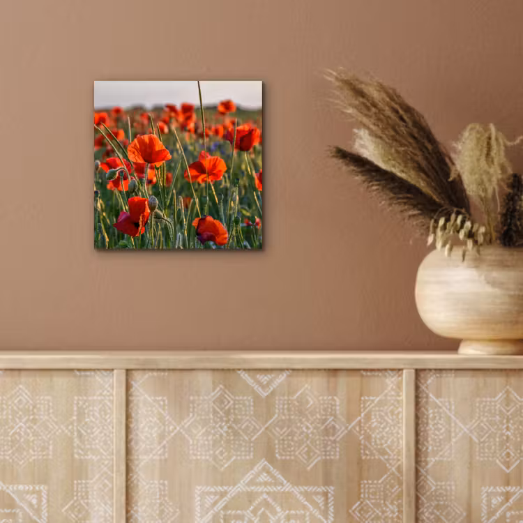 Bloemen - Klaprozen - Natuur - Rood aluminium wit klein -sfeer4