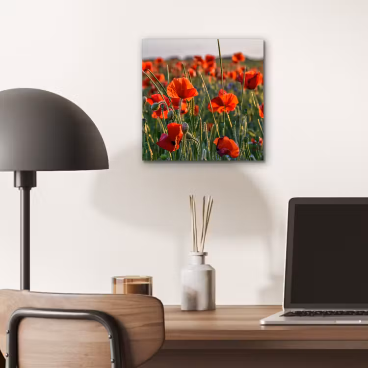 Bloemen - Klaprozen - Natuur - Rood aluminium wit klein -sfeer5