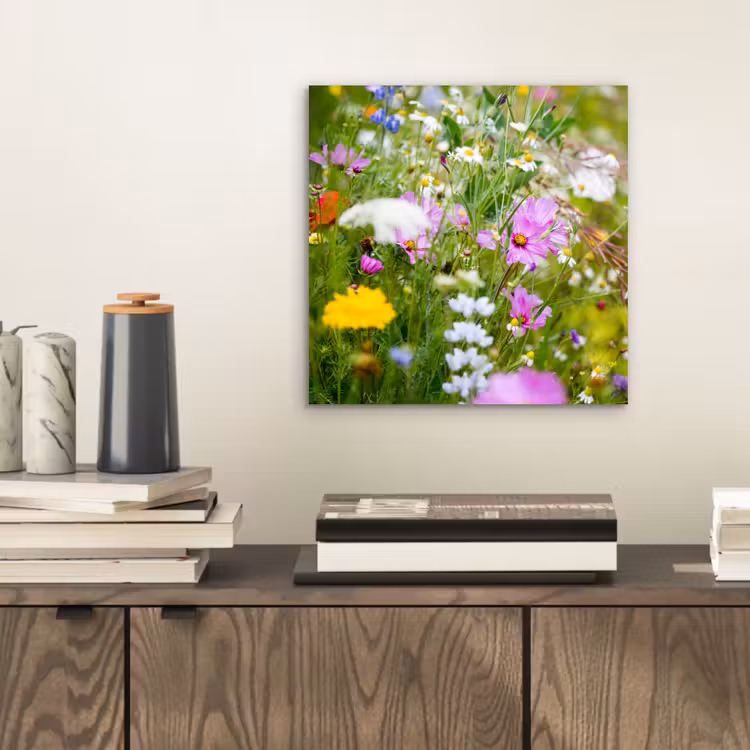 Bloemen - Natuur - Groen - Gras - Paars - Wit aluminium wit klein -sfeer1