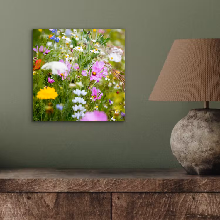 Bloemen - Natuur - Groen - Gras - Paars - Wit aluminium wit klein -sfeer2