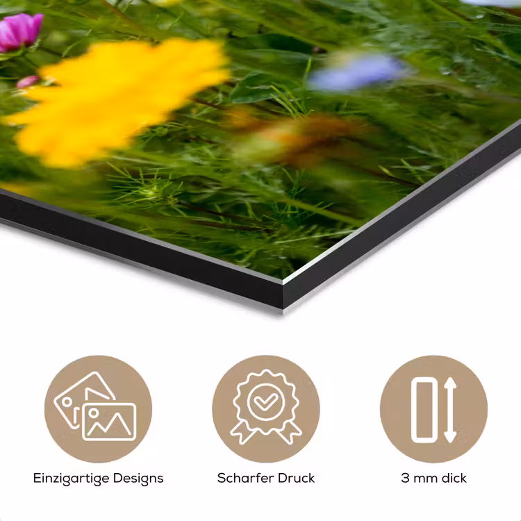 Bloemen - Natuur - Groen - Gras - Paars - Wit aluminium wit klein -closeup_DE