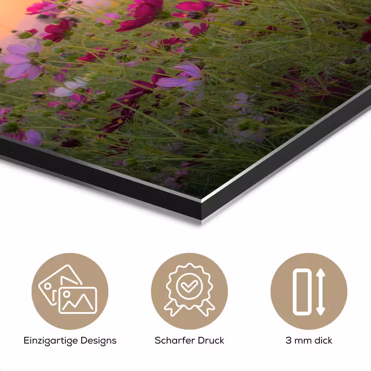 Bloemen - Roze - Zonsondergang - Natuur - Weide - Horizon aluminium wit klein -closeup_DE