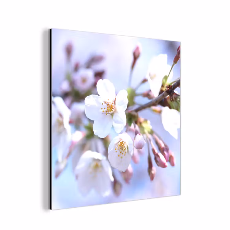 Bloemen - Sakura - Tak - Bloesem takken aluminium wit klein -3d