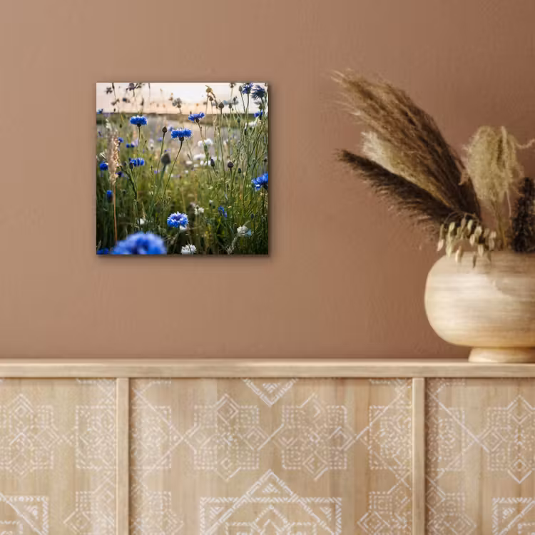Bloemen - Zomer - Korenbloem - Blauw - Zon - Wolken aluminium wit klein -sfeer4