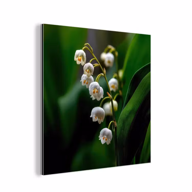Bloemen - Wit - Bladeren - Lelietjes aluminium wit klein -3d