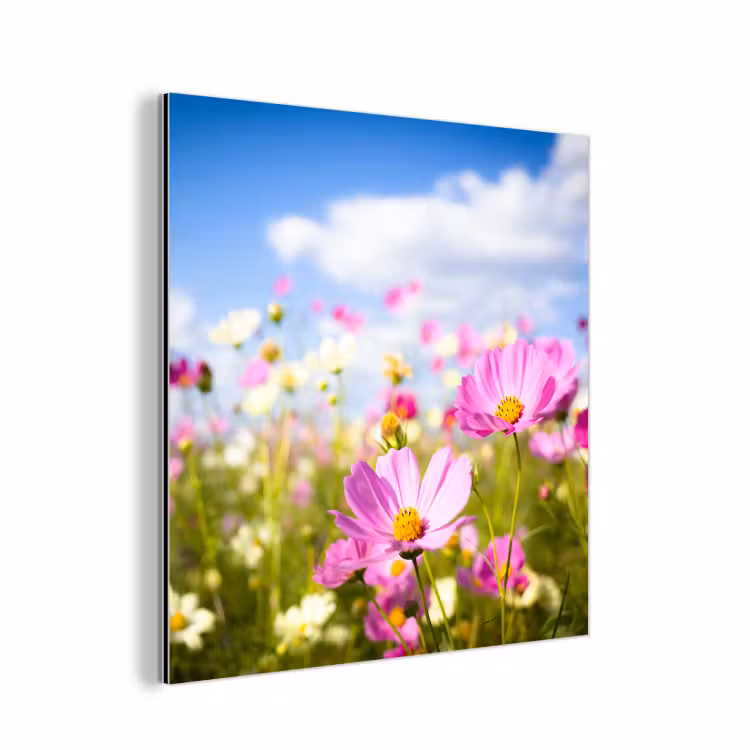 Bloemen - Wei - Paars - Gras - Wit - Wolken - Blauw aluminium wit klein -3d