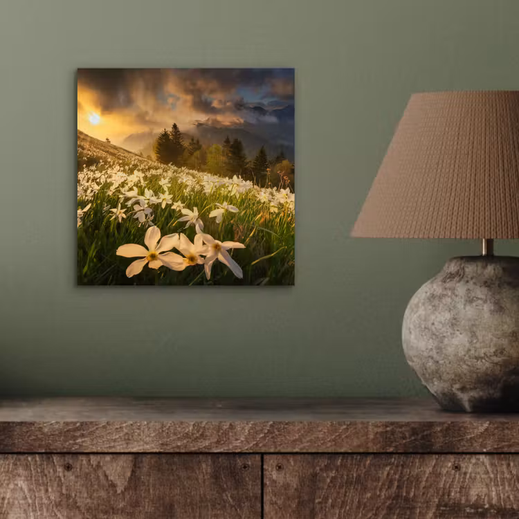 Bloemenveld - Heuvels - Zonsondergang - Berg - Natuur - Wit - Heuvels aluminium wit klein -sfeer2