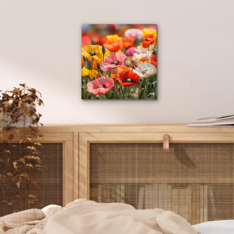 Bloemenveld - Klaprozen - Kleurrijk aluminium wit klein -sfeer3