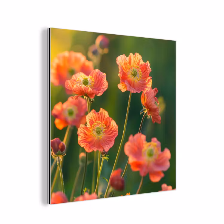 Bloemenveld - Zonnestralen - Oranje aluminium wit klein -3d