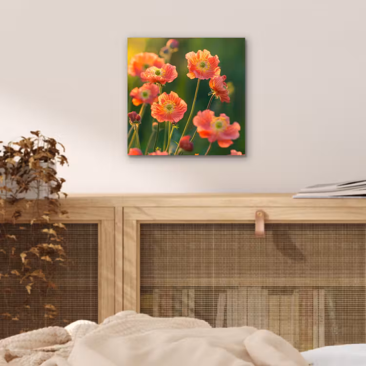 Bloemenveld - Zonnestralen - Oranje aluminium wit klein -sfeer3
