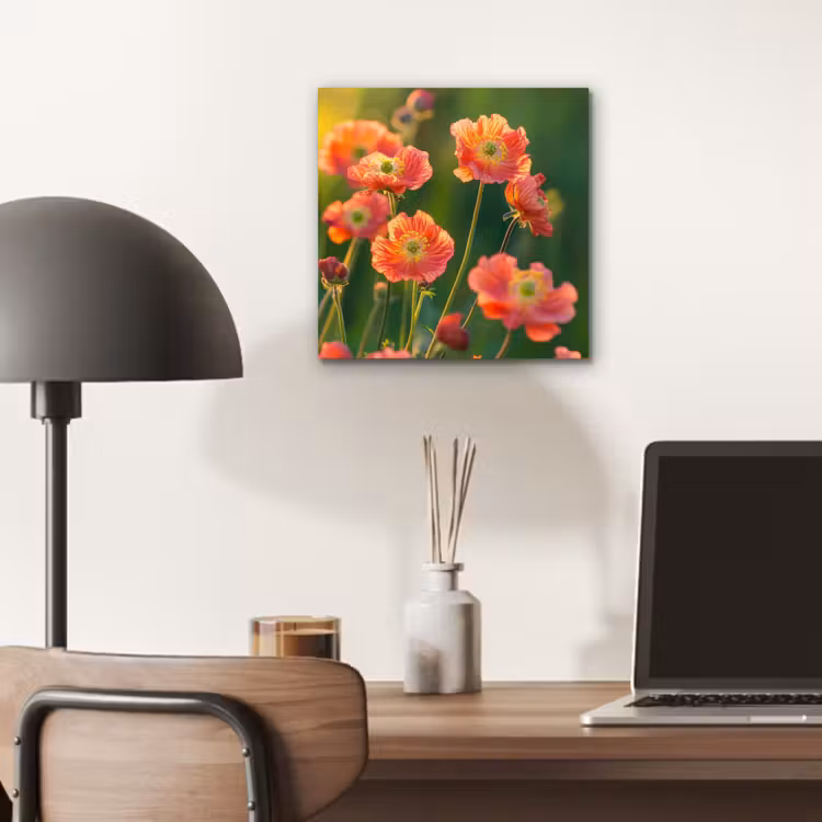 Bloemenveld - Zonnestralen - Oranje aluminium wit klein -sfeer5