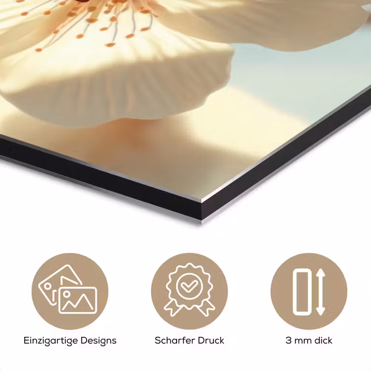 Bloesems - Zonlicht - Quote - Wit aluminium wit klein -closeup_DE