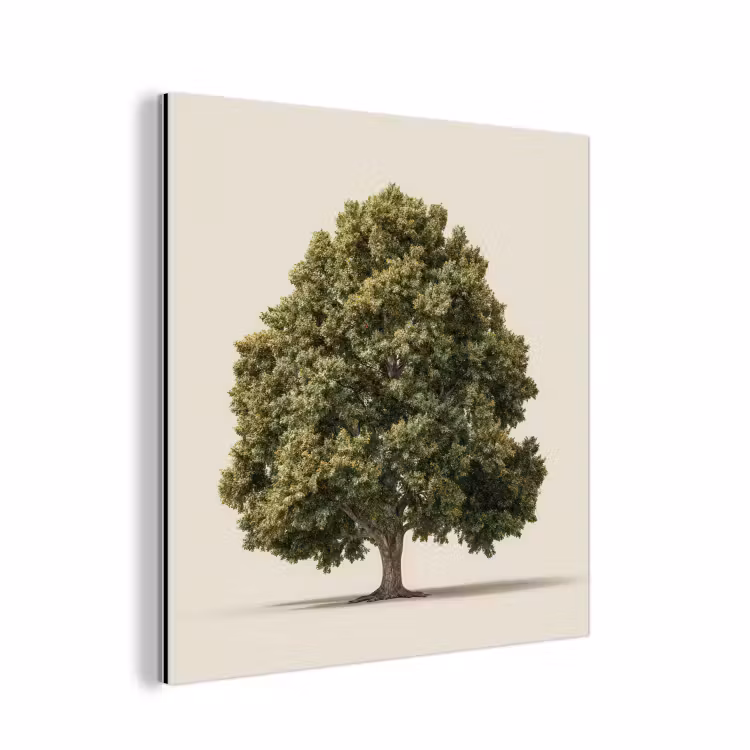 Eikenboom - Groen - Lichte achtergrond aluminium wit klein -3d