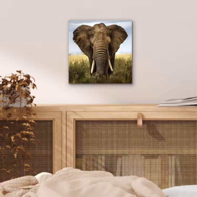 Olifant - Natuur - Gras - Dieren - Landschap aluminium wit klein -sfeer3
