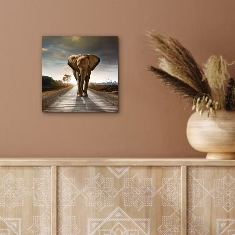 Olifant - Weg - Dieren - Zonsondergang - Landschap aluminium wit klein -sfeer4