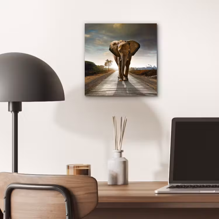 Olifant - Weg - Dieren - Zonsondergang - Landschap aluminium wit klein -sfeer5