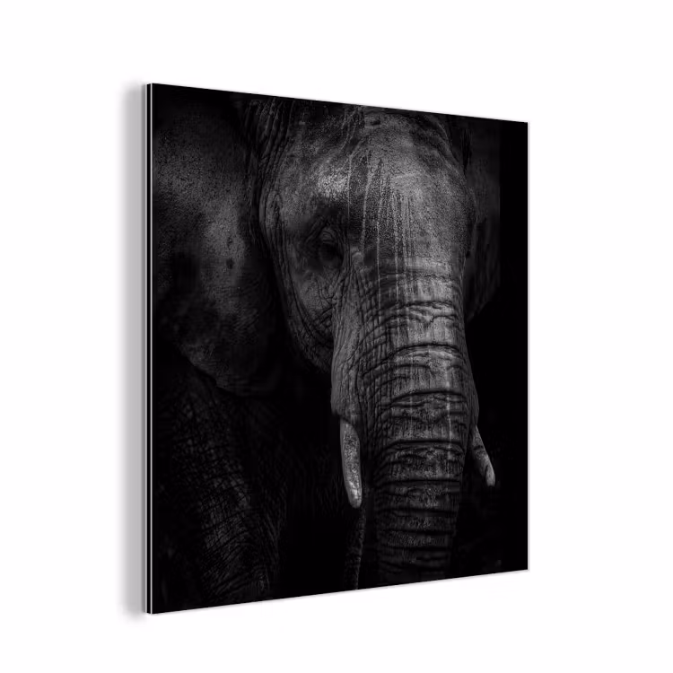 Olifant - Dier - Portret aluminium wit klein -3d