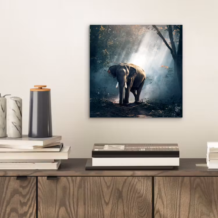 Olifant - Dieren - Licht - Bos - Natuur - Wilde dieren aluminium wit klein -sfeer1