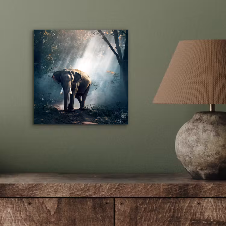 Olifant - Dieren - Licht - Bos - Natuur - Wilde dieren aluminium wit klein -sfeer2