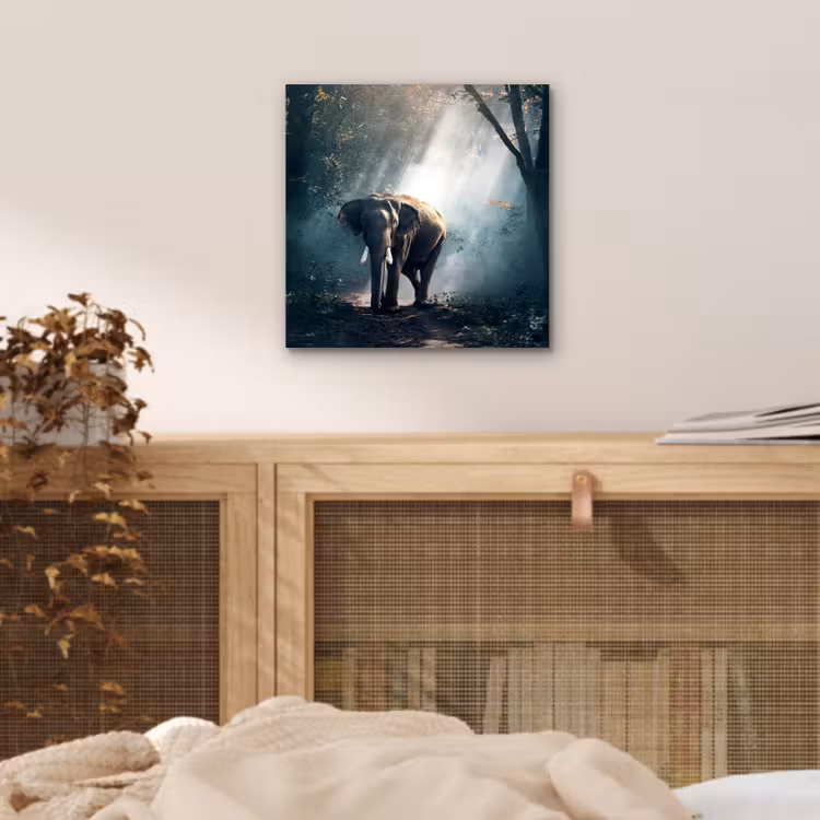 Olifant - Dieren - Licht - Bos - Natuur - Wilde dieren aluminium wit klein -sfeer3