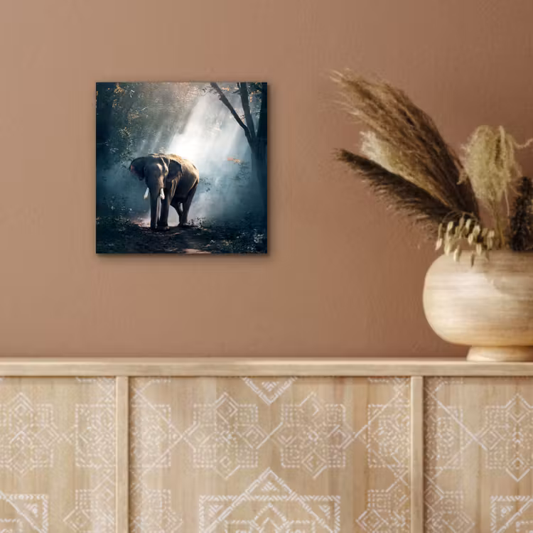 Olifant - Dieren - Licht - Bos - Natuur - Wilde dieren aluminium wit klein -sfeer4
