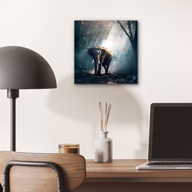 Olifant - Dieren - Licht - Bos - Natuur - Wilde dieren aluminium wit klein -sfeer5