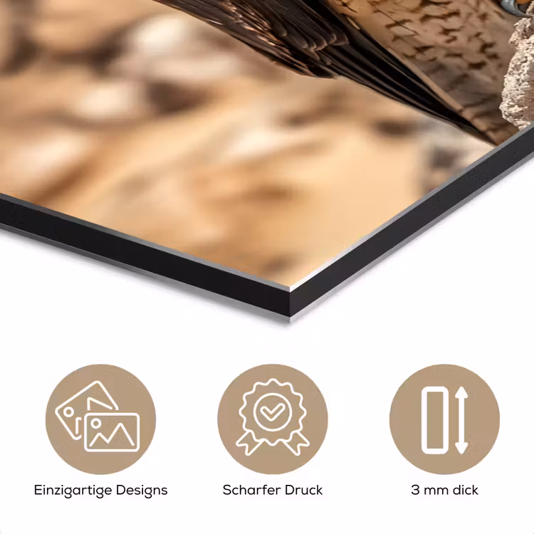 Valk - Vogel - Rots - Macht aluminium wit klein -closeup_DE