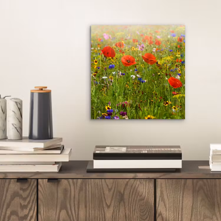 Lente - Bloemen - Rood - Klaproos - Gras - Groen aluminium wit klein -sfeer1