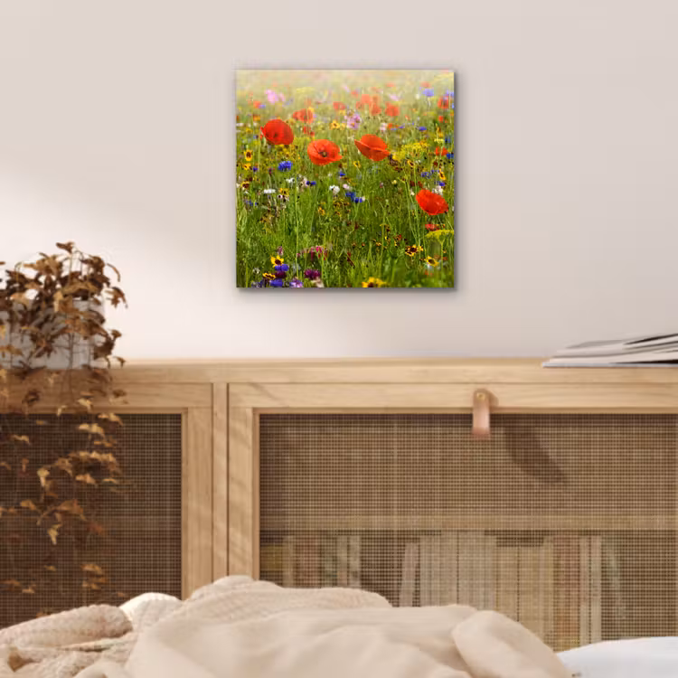 Lente - Bloemen - Rood - Klaproos - Gras - Groen aluminium wit klein -sfeer3