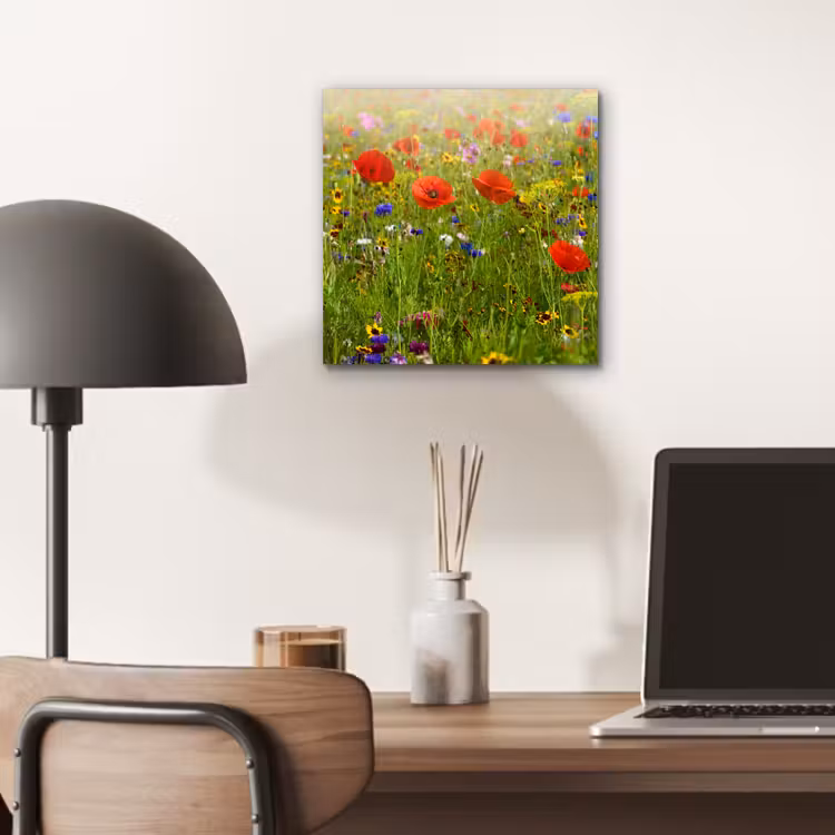 Lente - Bloemen - Rood - Klaproos - Gras - Groen aluminium wit klein -sfeer5